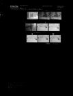 Elmhurst School Library (9 negatives), July 29 (August 3, 1966) [Sleeve 4, Folder d, Box 40]